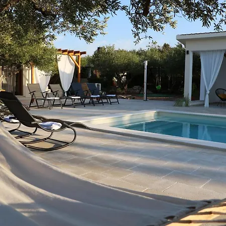 Stone Olea * סופטאר